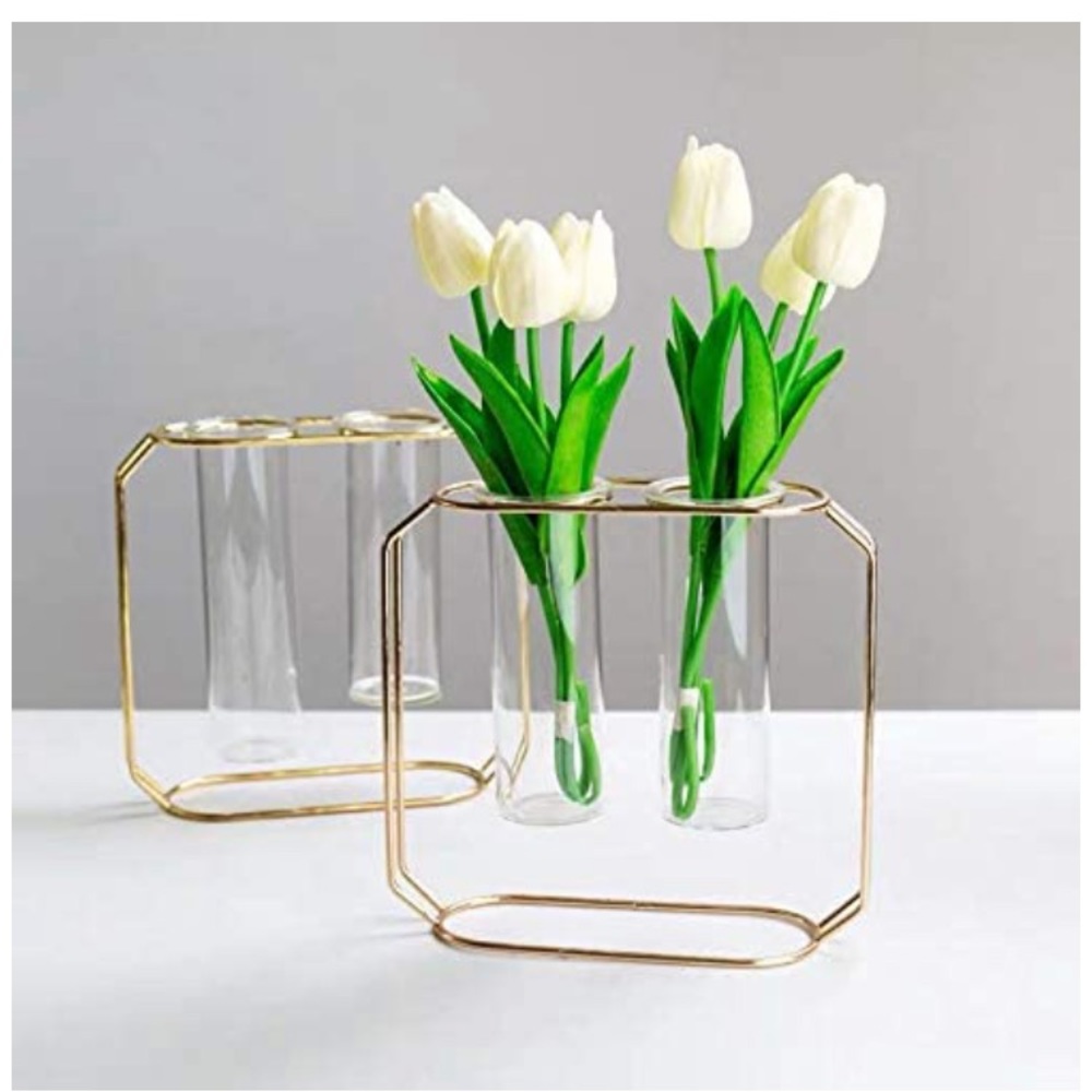 Test tube vase planter terrarium
